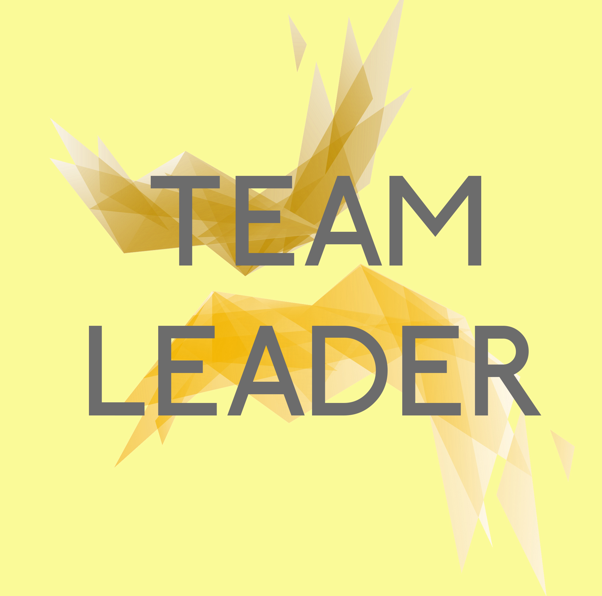 Team Leader E Leadership Significato E Differenza Tra Capo E Leader